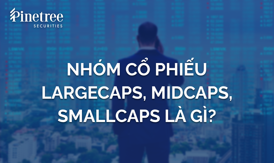 Cổ phiếu Large-caps, Mid-caps, Small-caps là gì?