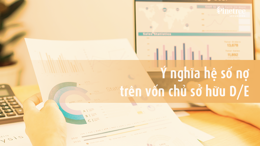 Ý nghĩa hệ số nợ trên vốn chủ sở hữu – D/E