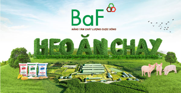 BaF Vietnam Agriculture JSC’s BOND – BAF123020