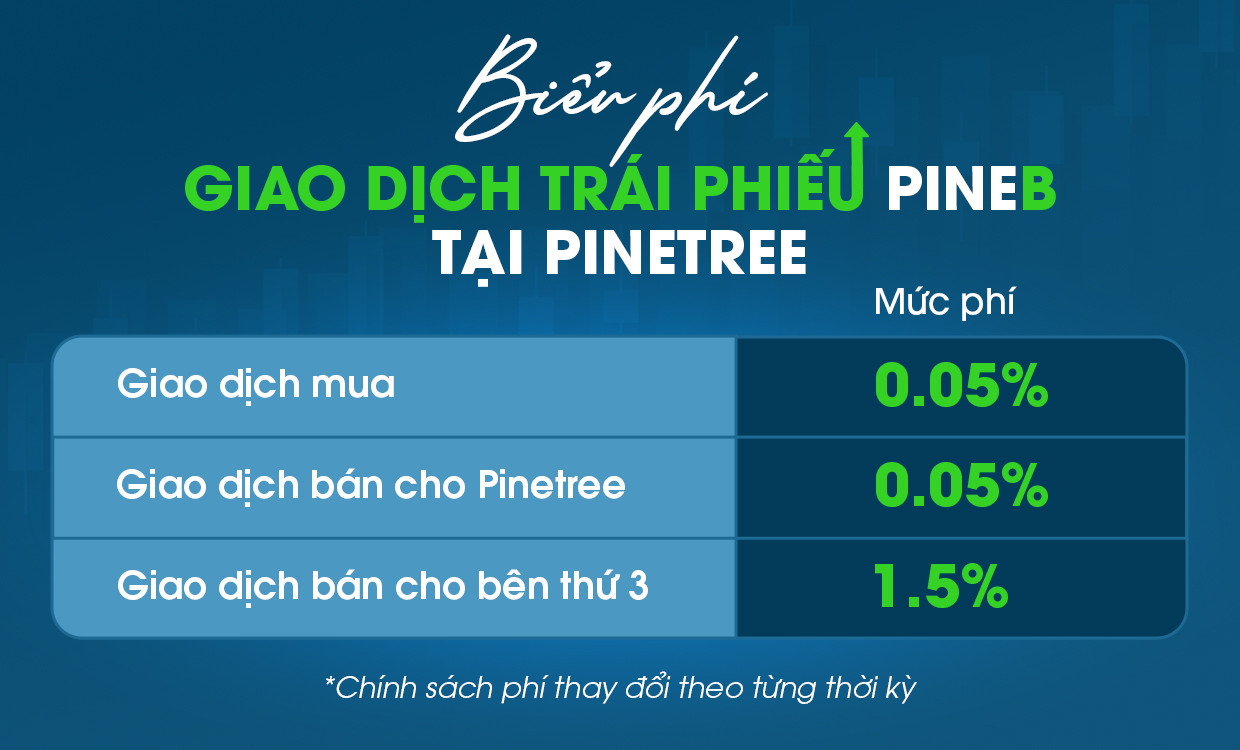 Pinetree Trai Phieu Ngan Hang La Gi Huong Dan Cach Dau Tu Trai Phieu Ngan Hang Trai Phieu Ngan Hang